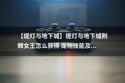 【提灯与地下城】提灯与地下城荆棘女王怎么获得 宠物技能及资质详解