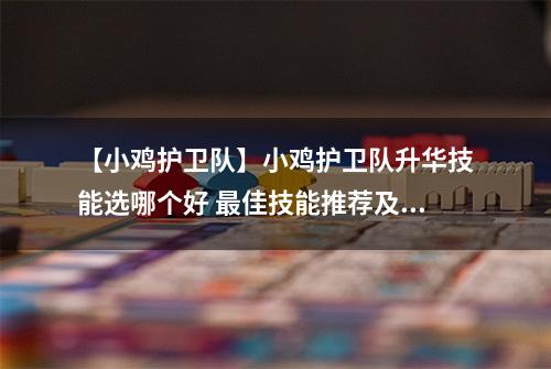 【小鸡护卫队】小鸡护卫队升华技能选哪个好 最佳技能推荐及玩法讲解