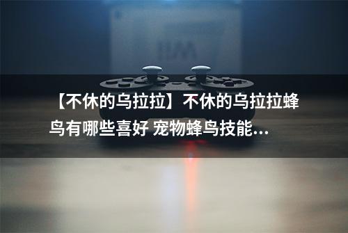 【不休的乌拉拉】不休的乌拉拉蜂鸟有哪些喜好 宠物蜂鸟技能属性数据图鉴