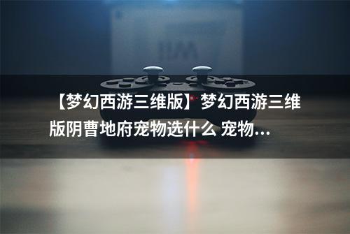 【梦幻西游三维版】梦幻西游三维版阴曹地府宠物选什么 宠物选择推荐攻略