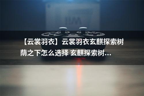 【云裳羽衣】云裳羽衣玄麒探索树荫之下怎么选择 玄麒探索树荫之下选择攻略