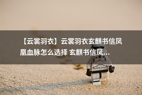 【云裳羽衣】云裳羽衣玄麒书信凤凰血脉怎么选择 玄麒书信凤凰血脉选择攻略