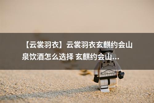 【云裳羽衣】云裳羽衣玄麒约会山泉饮酒怎么选择 玄麒约会山泉饮酒选择攻略