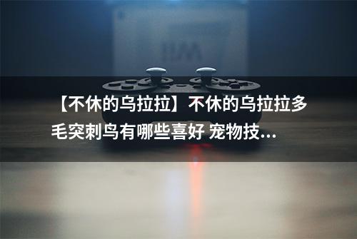 【不休的乌拉拉】不休的乌拉拉多毛突刺鸟有哪些喜好 宠物技能属性数据图鉴