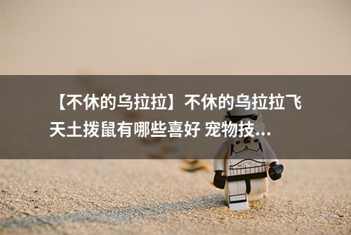 【不休的乌拉拉】不休的乌拉拉飞天土拨鼠有哪些喜好 宠物技能属性数据图鉴