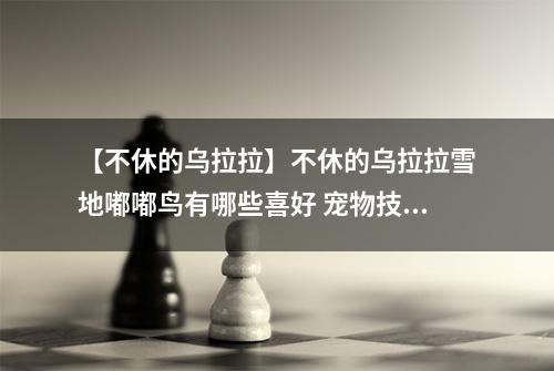 【不休的乌拉拉】不休的乌拉拉雪地嘟嘟鸟有哪些喜好 宠物技能属性数据图鉴