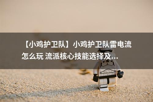 【小鸡护卫队】小鸡护卫队雷电流怎么玩 流派核心技能选择及各难度玩法介绍