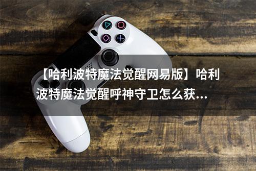 【哈利波特魔法觉醒网易版】哈利波特魔法觉醒呼神守卫怎么获得 技能效果一览