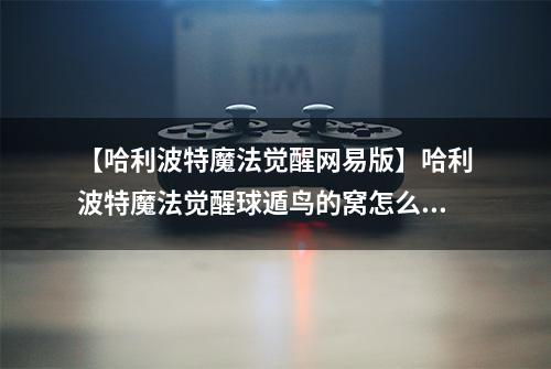 【哈利波特魔法觉醒网易版】哈利波特魔法觉醒球遁鸟的窝怎么做 制作方法分享