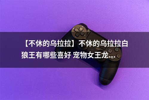 【不休的乌拉拉】不休的乌拉拉白狼王有哪些喜好 宠物女王龙技能属性数据图鉴