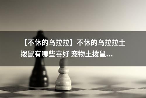 【不休的乌拉拉】不休的乌拉拉土拨鼠有哪些喜好 宠物土拨鼠技能属性数据图鉴