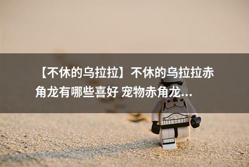 【不休的乌拉拉】不休的乌拉拉赤角龙有哪些喜好 宠物赤角龙技能属性数据图鉴
