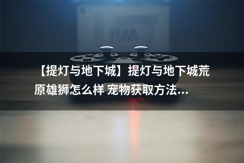 【提灯与地下城】提灯与地下城荒原雄狮怎么样 宠物获取方法及培养性价比详解