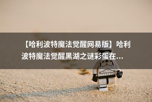 【哈利波特魔法觉醒网易版】哈利波特魔法觉醒黑湖之谜彩蛋在哪 全收集攻略汇总